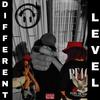 DIFFERENT LEVEL - Miazine