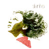 Paraíba - Silvinha