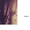 Forever - Anna Beatriz