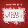 The First Noel (Instrumental) - Josh Wilson