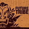 Ice and Milk (Tribe Mix) - Dj Emotions