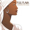 Perfect Love - Full Flava&Alison Limerick