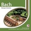 III. Allegro - Hartmut Haenchen&kammerorchester Carl Philipp Emanuel Bach&Johann Sebastian Bach