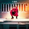 Hoodie - Eblue
