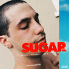 SUGAR (feat. Dua Lipa) (Remix) - BROCKHAMPTON&Dua Lipa