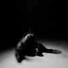 Katastrophe (Explicit) - 명수 (MYEONG SOO)&던밀스