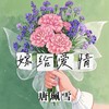 嫁给爱情 - 唐珮雪