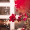 红尘赠我满身伤 - 苏谭谭