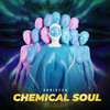 Chemical Soul - Agnivesh