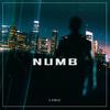 Numb - LIMIC&Darius Michalski&Christopher Lis&Brad Delson&Chester Bennington&Dave Farrell&Joe Hahn&Mike Shinoda&Rob Bourdon