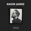Always (Alan Walker Remix) - Gavin James&Alan Walker