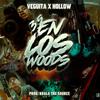 3.5 en los woods (feat. Hollowprrr) - Veguita&Hollowprrr