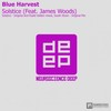 Solstice (Original Mix) - Blue Harvest&James Woods