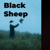 Black Sheep (氛围电吉他版) - AEC