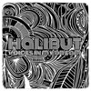 Voices in My Dream - Halibut