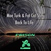 Back To Life (Original Mix) - Moe Turk&Fat Cat Slim