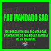 Pau Mandado Sad - MC BOLSA FAMÍLIA&MC VALE GÁS&DANÇARINO DO MC BOLSA FAMÍLIA&DJ BK OFFICIAL