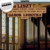Ave Maria d'Arcadelt, S. 183/2: Ave Maria von Arcadelt, S. 659/R. 401 - Gábor Lehotka