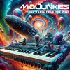 Abstract Paradise - Midi Junkies