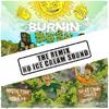 Burning Bush (Rmx|No Ice Cream Sound Remix D&B|Explicit) - Mystic Fyah&Indra MC&No Ice Cream Sound