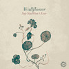 Say You Won't Ever (Original Mix) - Wallflower