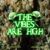 Smoking weed and rapping (feat. Sin sin) (Explicit) - Yung Skitzo&Sin Sin