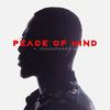 Peace of Mind - Josh2funny