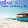 Cocktails Under the Sunny Sky - Biscaine