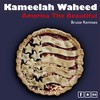 America the Beautiful (Bruise Vocal Remix) - Kameelah Waheed