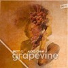 Grapevine (Original Mix) - Brett G&Audio Chimp