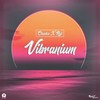Vibranium - Chunkz&Neji