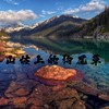 山坡上的狗尾草 (氛围版) - 煜坤