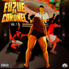 Tropa da Coro X Bird Allegiance (Explicit) - Dj Alle da coro&Tz da Coronel&Mc Rf&DJ CAVANHA&Cúpula