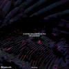 Requiemm (Original Mix) - Everdom&Nepemora