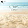 II. Adagio - Paul Meyer&Ensemble Orchestral de Paris&John Nelson