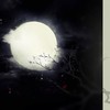 不老的月亮 - 平纱落雁