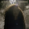 RotSchwarz - Joy Denalane