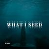 What I Need - Dj Xanny