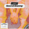 Secret Enemy - Jadoo