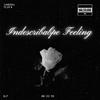 Indescribable Feeling (feat. SKN) - Malsoliano&SKN