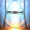 Psychedelic Tools (Rishi Remix) - Hypnoise
