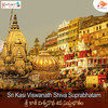 Sri Kasi Viswanath Suprabhatam - N Surya Prakash&Palanparthi Shamalananda Prasad&Nitya Santhoshini