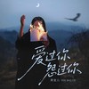 爱过你 怨过你（DJ俊海版） - 燕宝儿