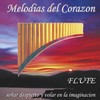 Con te partirò - Wayra