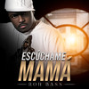 Escúchame Mamá - Ron Bass