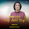 Dukh Hoye Paye Sukh Hoye - James Gill&Khokhar Studio