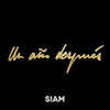 Un Año Despues - Siam