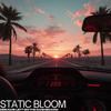 Dreams Left on the Dashboard - Static Bloom