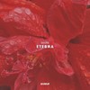 Eterna - maora