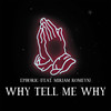 Why Tell Me Why - Ephoric&Miriam Romeyn